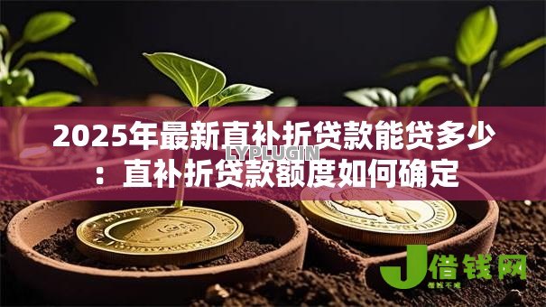 2025年最新直补折贷款能贷多少:直补折贷款额度如何确定 2025年最新直补折贷款能贷多少:直补折贷款额度如何确定