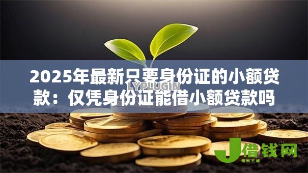 2025年最新只要身份证的小额贷款:仅凭身份证能借小额贷款吗 2025年最新只要身份证的小额贷款:仅凭身份证能借小额贷款吗