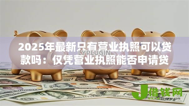 2025年最新只有营业执照可以贷款吗:仅凭营业执照能否申请贷款 2025年最新只有营业执照可以贷款吗:仅凭营业执照能否申请贷款