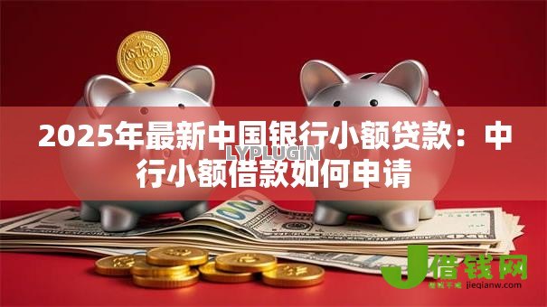2025年最新中国银行小额贷款：中行小额借款如何申请