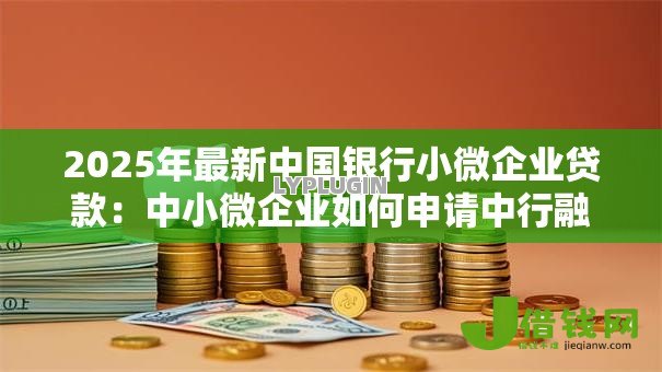 2025年最新中国银行小微企业贷款：中小微企业如何申请中行融资支持