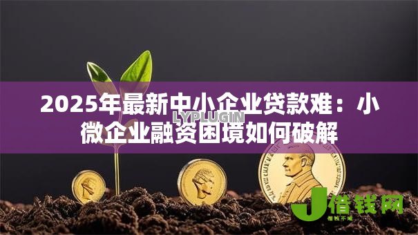 2025年最新中小企业贷款难：小微企业融资困境如何破解