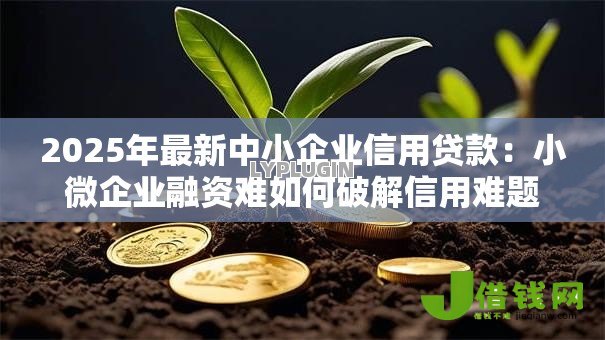 2025年最新中小企业信用贷款:小微企业融资难如何破解信用难题 2025年最新中小企业信用贷款:小微企业融资难如何破解信用难题
