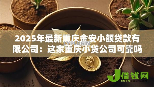 2025年最新重庆金安小额贷款有限公司:这家重庆小贷公司可靠吗 2025年最新重庆金安小额贷款有限公司:这家重庆小贷公司可靠吗
