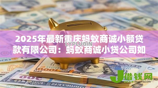 2025年最新重庆蚂蚁商诚小额贷款有限公司:蚂蚁商诚小贷公司如何申请贷款 2025年最新重庆蚂蚁商诚小额贷款有限公司:蚂蚁商诚小贷公司如何申请贷款