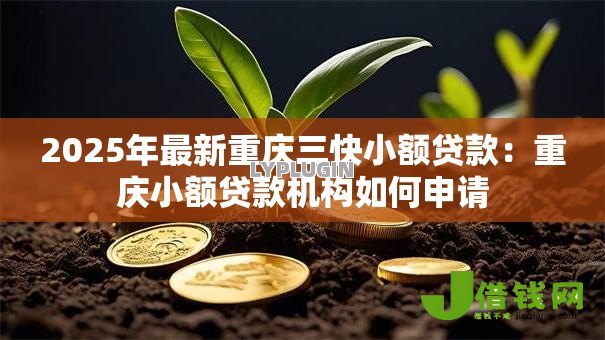 2025年最新重庆三快小额贷款:重庆小额贷款机构如何申请 2025年最新重庆三快小额贷款:重庆小额贷款机构如何申请