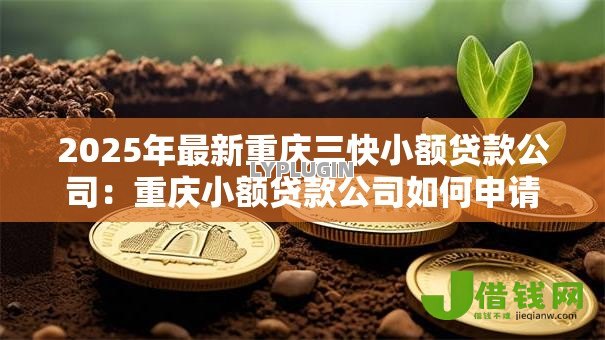 2025年最新重庆三快小额贷款公司:重庆小额贷款公司如何申请 2025年最新重庆三快小额贷款公司:重庆小额贷款公司如何申请