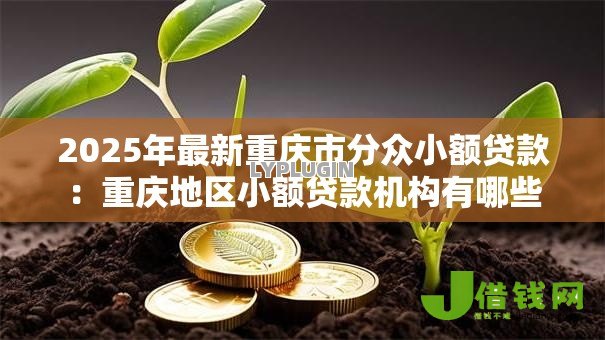 2025年最新重庆市分众小额贷款:重庆地区小额贷款机构有哪些 2025年最新重庆市分众小额贷款:重庆地区小额贷款机构有哪些