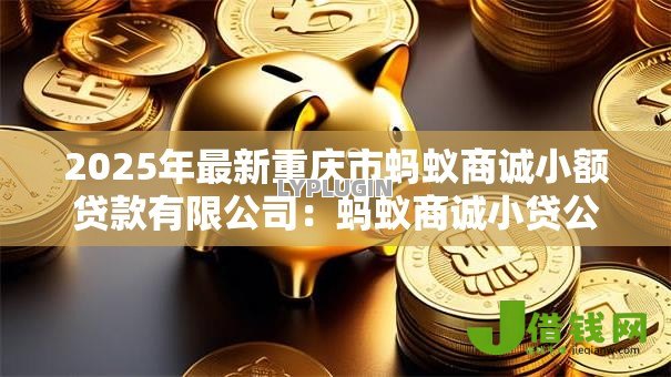 2025年最新重庆市蚂蚁商诚小额贷款有限公司：蚂蚁商诚小贷公司的贷款条件有哪些