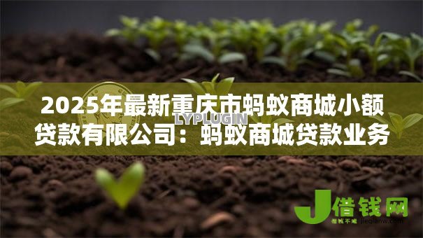 2025年最新重庆市蚂蚁商城小额贷款有限公司:蚂蚁商城贷款业务合规性如何 2025年最新重庆市蚂蚁商城小额贷款有限公司:蚂蚁商城贷款业务合规性如何