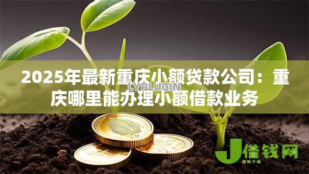 2025年最新重庆小额贷款公司:重庆哪里能办理小额借款业务 2025年最新重庆小额贷款公司:重庆哪里能办理小额借款业务