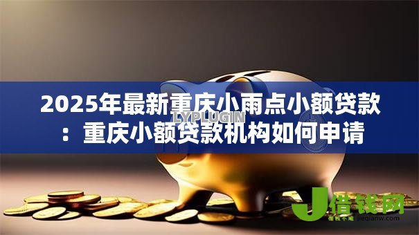 2025年最新重庆小雨点小额贷款:重庆小额贷款机构如何申请 2025年最新重庆小雨点小额贷款:重庆小额贷款机构如何申请