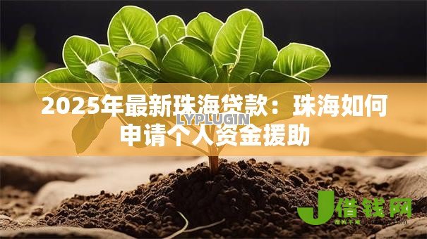 2025年最新珠海贷款：珠海如何申请个人资金援助