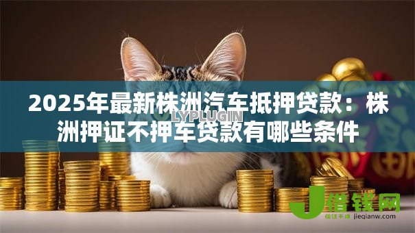 2025年最新株洲汽车抵押贷款:株洲押证不押车贷款有哪些条件 2025年最新株洲汽车抵押贷款:株洲押证不押车贷款有哪些条件