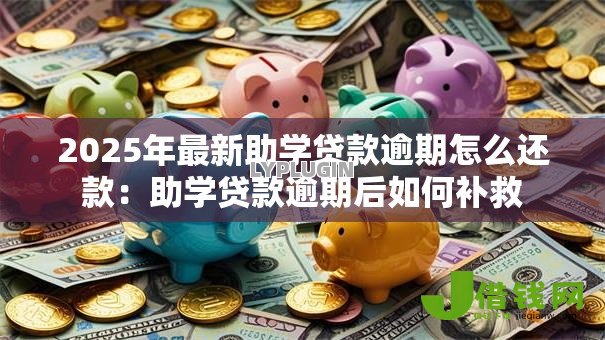 2025年最新助学贷款逾期怎么还款：助学贷款逾期后如何补救