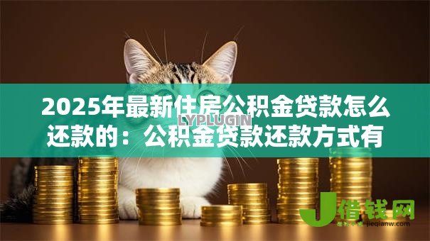 2025年最新住房公积金贷款怎么还款的:公积金贷款还款方式有哪些选择 2025年最新住房公积金贷款怎么还款的:公积金贷款还款方式有哪些选择