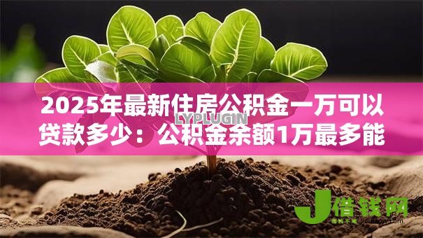 2025年最新住房公积金一万可以贷款多少:公积金余额1万最多能贷多少款 2025年最新住房公积金一万可以贷款多少:公积金余额1万最多能贷多少款