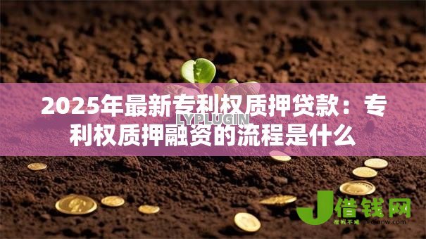 2025年最新专利权质押贷款：专利权质押融资的流程是什么