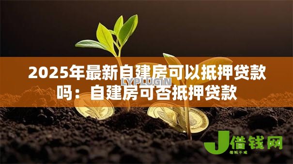 2025年最新自建房可以抵押贷款吗:自建房可否抵押贷款 2025年最新自建房可以抵押贷款吗:自建房可否抵押贷款