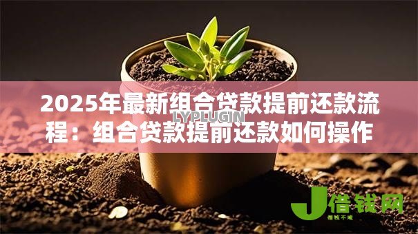 2025年最新组合贷款提前还款流程:组合贷款提前还款如何操作 2025年最新组合贷款提前还款流程:组合贷款提前还款如何操作
