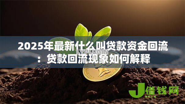 2025年最新什么叫贷款资金回流：贷款回流现象如何解释