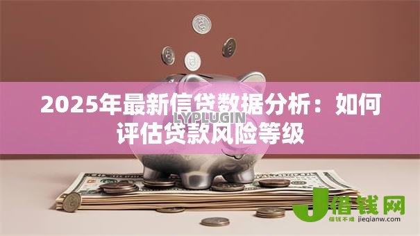 2025年最新信贷数据分析:如何评估贷款风险等级 2025年最新信贷数据分析:如何评估贷款风险等级