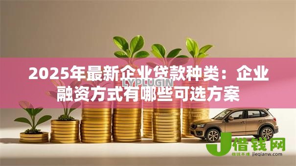 2025年最新企业贷款种类:企业融资方式有哪些可选方案 2025年最新企业贷款种类:企业融资方式有哪些可选方案