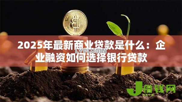 2025年最新商业贷款是什么：企业融资如何选择银行贷款