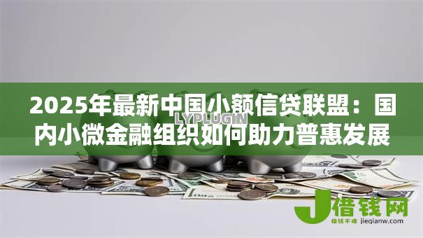 2025年最新中国小额信贷联盟:国内小微金融组织如何助力普惠发展 2025年最新中国小额信贷联盟:国内小微金融组织如何助力普惠发展