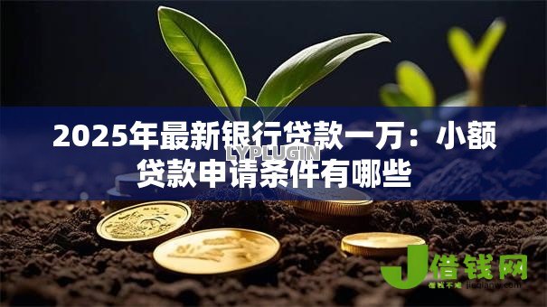 2025年最新银行贷款一万:小额贷款申请条件有哪些 2025年最新银行贷款一万:小额贷款申请条件有哪些