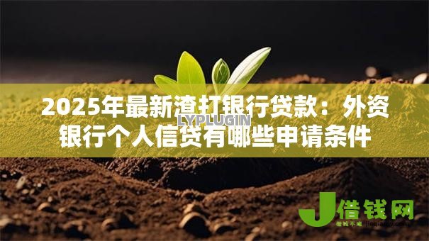 2025年最新渣打银行贷款:外资银行个人信贷有哪些申请条件 2025年最新渣打银行贷款:外资银行个人信贷有哪些申请条件