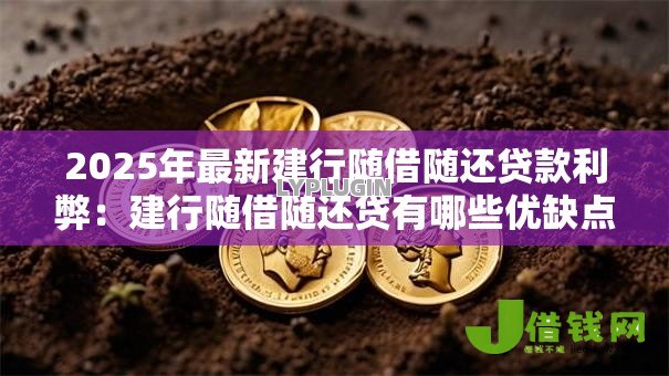2025年最新建行随借随还贷款利弊:建行随借随还贷有哪些优缺点 2025年最新建行随借随还贷款利弊:建行随借随还贷有哪些优缺点