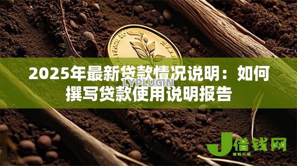 2025年最新贷款情况说明：如何撰写贷款使用说明报告