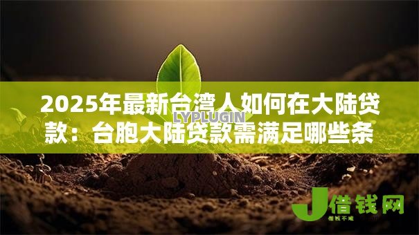 2025年最新台湾人如何在大陆贷款:台胞大陆贷款需满足哪些条件 2025年最新台湾人如何在大陆贷款:台胞大陆贷款需满足哪些条件