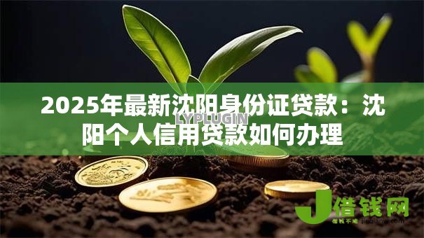 2025年最新沈阳身份证贷款：沈阳个人信用贷款如何办理