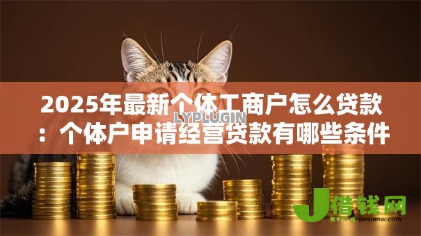 2025年最新个体工商户怎么贷款:个体户申请经营贷款有哪些条件 2025年最新个体工商户怎么贷款:个体户申请经营贷款有哪些条件
