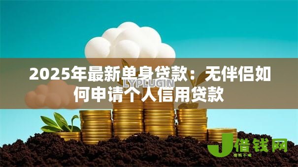 2025年最新单身贷款：无伴侣如何申请个人信用贷款
