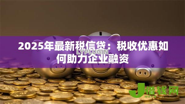 2025年最新税信贷:税收优惠如何助力企业融资 2025年最新税信贷:税收优惠如何助力企业融资