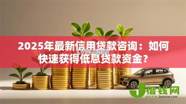 2025年最新信用贷款咨询:如何快速获得低息贷款资金? 2025年最新信用贷款咨询:如何快速获得低息贷款资金?