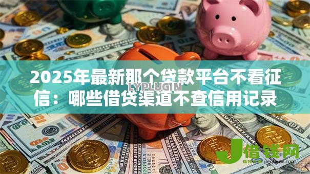 2025年最新那个贷款平台不看征信：哪些借贷渠道不查信用记录