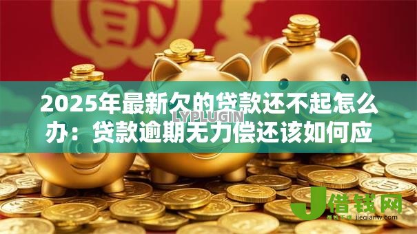 2025年最新欠的贷款还不起怎么办：贷款逾期无力偿还该如何应对