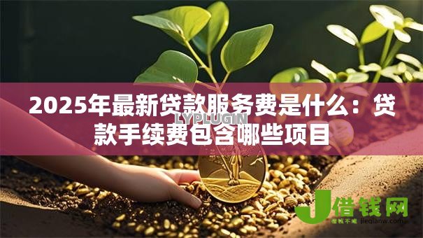 2025年最新贷款服务费是什么:贷款手续费包含哪些项目 2025年最新贷款服务费是什么:贷款手续费包含哪些项目