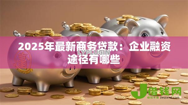 2025年最新商务贷款:企业融资途径有哪些 2025年最新商务贷款:企业融资途径有哪些