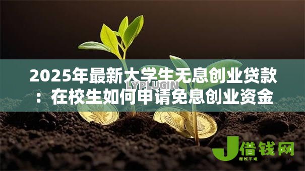2025年最新大学生无息创业贷款:在校生如何申请免息创业资金 2025年最新大学生无息创业贷款:在校生如何申请免息创业资金