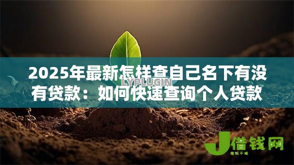 2025年最新怎样查自己名下有没有贷款:如何快速查询个人贷款记录 2025年最新怎样查自己名下有没有贷款:如何快速查询个人贷款记录