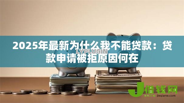2025年最新为什么我不能贷款：贷款申请被拒原因何在