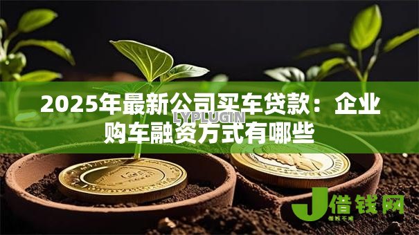 2025年最新公司买车贷款:企业购车融资方式有哪些 2025年最新公司买车贷款:企业购车融资方式有哪些