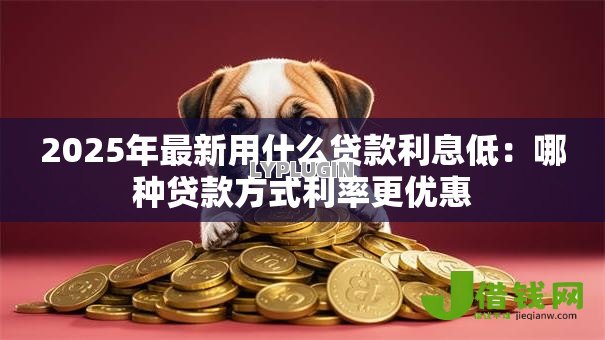 2025年最新用什么贷款利息低:哪种贷款方式利率更优惠 2025年最新用什么贷款利息低:哪种贷款方式利率更优惠