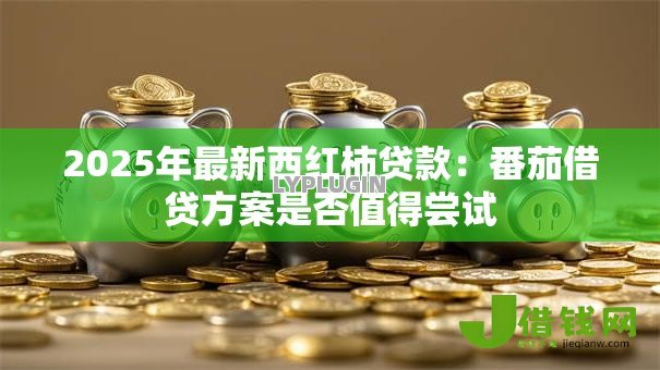 2025年最新西红柿贷款:番茄借贷方案是否值得尝试 2025年最新西红柿贷款:番茄借贷方案是否值得尝试
