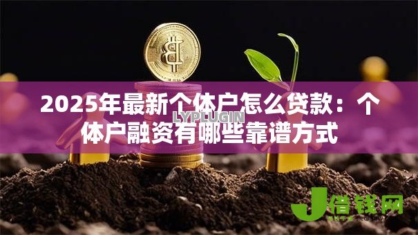 2025年最新个体户怎么贷款：个体户融资有哪些靠谱方式